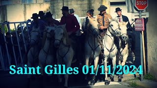 Saint Gilles 01112024 Concours dabrivado [upl. by Lanae962]