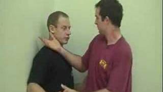 Sergei Ozhereliev Systema work [upl. by Ginnie402]