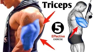 Triceps Workout for Mass 6 Effective Exercises  8 Best Exercises for Bigger Arms and TricepsWorkout [upl. by Idid]