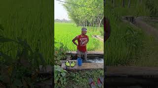 SHAMPOO PRANK PART 18  SAGOR BHUYAN [upl. by Fifine806]