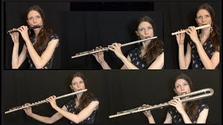 Flight of The Bumblebee  5 Flutes  The Techie Flutist [upl. by Ailat446]