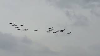 18x spitfire hurricane flying wing formation  duxford battle of britain airshow 2023 [upl. by Matteo]