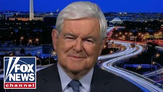 Gingrich Mueller has a Trump destruction project [upl. by Enelrats]