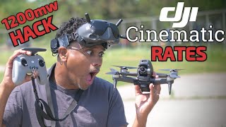 DJI FPV Cinematic Camera Settings for Beginners [upl. by Morey]