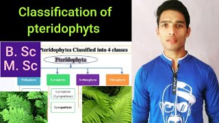 Classification of pteridophyts [upl. by Key]