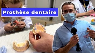 Formation métiers de la prothèse dentaire 🦷 l Eschau [upl. by Aninad]