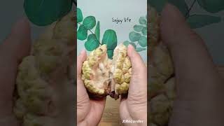 Philippine Cherimoya atis  The Sweetest cherimoya I have ever tasted  garden harvest shorts [upl. by Tristan220]