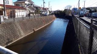 小田原市鴨宮・小八幡川 [upl. by Eeladnerb652]