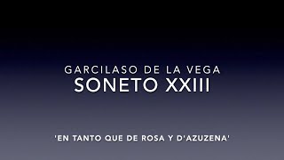 🌹 GARCILASO de la Vega 🌹 Soneto XXIII 🌹 En tanto que de rosa y dazucena [upl. by Wendeline]