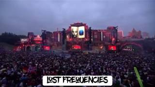 Lost Frequencies Reality t Tomorrowland 2019 [upl. by Nnauol]