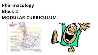 Pharmacology of Block 2  Part 1   MSK Module  All topics [upl. by Adon925]