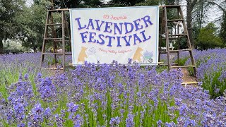 LAVENDER FESTIVAL 2022 [upl. by Anyrak852]