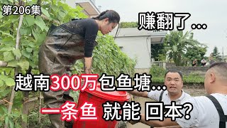 第206集，赚翻了 在越南300万包鱼塘，一条鱼就能回本？鱼塘 [upl. by Okomot266]