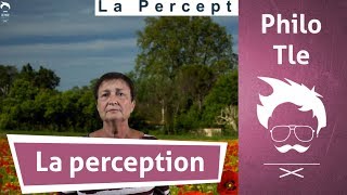 Philosophie  Terminale  La perception 12 [upl. by Ramor]