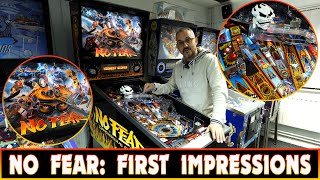 Trying No Fear Pinball Machine by Williams for the first time  Steve Ritchie classic GOOD or BAD [upl. by Eninnaj]