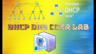 DHCP DNS CCNA LAB [upl. by Ahseila]