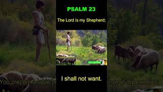 Psalm 23  The Lord is my Shepherd bible psalms [upl. by Nnuahs201]