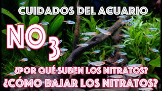 Cuidados del Acuario ¿Por qué suben los nitratos ¿Cómo puedo bajar los nitratos del acuario [upl. by Rusty]