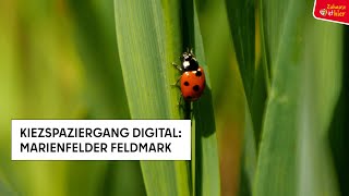 7 Kiezspaziergang digital Marienfelder Feldmark [upl. by Peregrine]