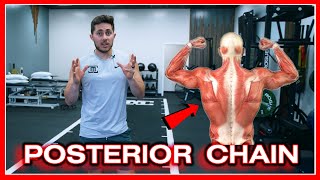 Posterior Chain Guide Importance Exercises Function [upl. by Nipahc561]