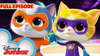 SuperKitties First Full Episode  The Great Yarn Caper  S1 E1 Part 1  disneyjr [upl. by Della]