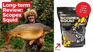 Longterm carp bait review Nashbaits Scopex Squid [upl. by Ardek79]