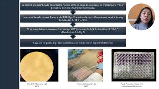 VETB010 VIABILIDAD CELULAR DE MATERIALES BIOACTIVOS USADOS PARA RECUBRIMIENTO PULPAR DIRECTO [upl. by Evadnee]