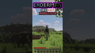 STARE AT ENDERMEN SAFELY Minecraft FactsTips [upl. by Lareena]