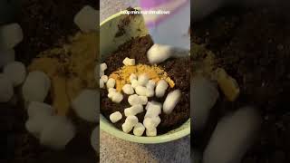 S’mores Cake Bites [upl. by Vinny]