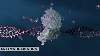 How to synthesize complex custom long oligonucleotides [upl. by Catie781]