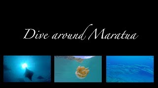 Dive around Maratua Maratua  Sangalaki  Kakaban [upl. by Lossa377]