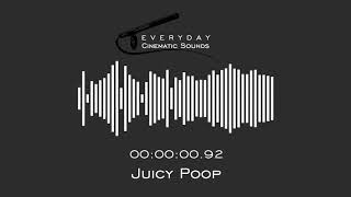 Juicy Poop  HQ Sound Effect [upl. by Ignace81]