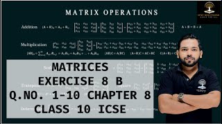 MATRICES EXERCISE 8 B Q NO 110 CHAPTER 8 CLASS 10 ICSE [upl. by Quintina]