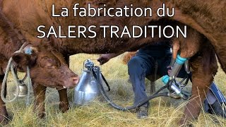 La fabrication du fromage Salers Tradition  GAEC Taillé  CANTAL [upl. by Kynthia]