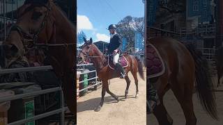 Equino Campeón en Expo Prado [upl. by Puiia243]