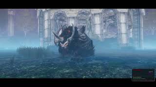 Riders of Icarus Ranger Beatus Akaldus EU 35M DPS [upl. by Nerral649]