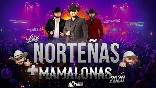 Las Norteñas Más Mamalonas del 2020 Mix By Dj Alfred  Con Ese Corazón Acurrucar Tu Basta [upl. by Oicram508]