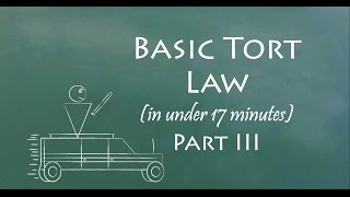 Understand Tort Law in 17 Minutes Part III [upl. by Nehgaem402]