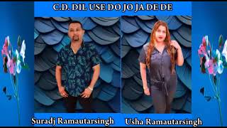 JISKA MUJHE THA INTEZAARSUNG BY SURAJ amp USHA [upl. by Hescock]