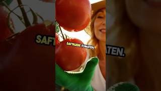 Saftigere Tomaten 🍅 Der Trick ist einfacher als du denkst… 👇 [upl. by Reiss]