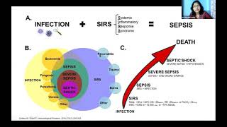 Webinar  Role of Ulinastatin in Sepsis [upl. by Ttemme683]