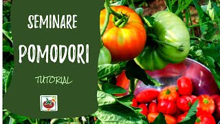 Seminare i pomodori ecco come e quando Tutorial completo [upl. by Inimak879]