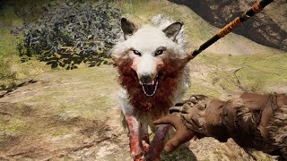 Taming Snowblood Wolf  Far Cry Primal 4K 60 FPS Ultra Settings [upl. by Esaertal]