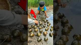 YOU WONT BELIEVE THISquotCatching Fresh Snails the Traditional Way shortsvideo [upl. by Lundquist65]