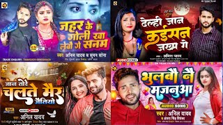 Audio  Anil Yadav Ke Gana  Maithili Non Stop Song  Anil Yadav  Sad Song  Maithili Song [upl. by Diehl927]