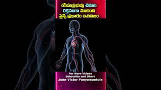 యేసుక్రీస్తప్రభువు చెమట రక్తముగా మారింది Information from Dr Rev Showry Babu konagaru [upl. by Nari]