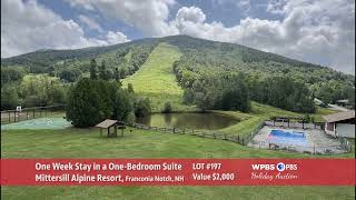 MITTERSILL ALPINE RESORT  WPBS Holiday Auction 2024 [upl. by Riffle]