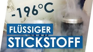 Experimente mit flüssigem Stickstoff  Teil 1  Geniale Fakten Tipps amp Tricks [upl. by Assirok887]