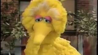 Sesame Street Episode 3860 FULL original PBS broadcast [upl. by Gibe]