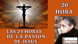 20 de 24 I Horas de la Pasión de Jesús Luisa Piccarreta Divina Voluntad [upl. by Flodnar]